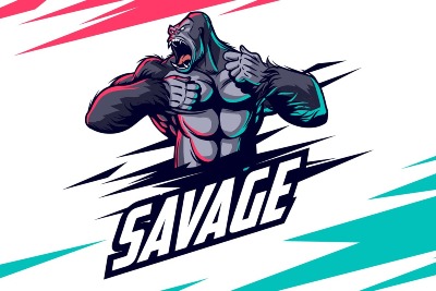SAVAGE Gym